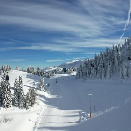 Bestblick - Na Stazi