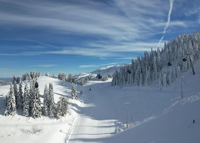 Bestblick - Na Stazi